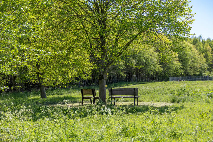 Foto 3 van Marsweg 2