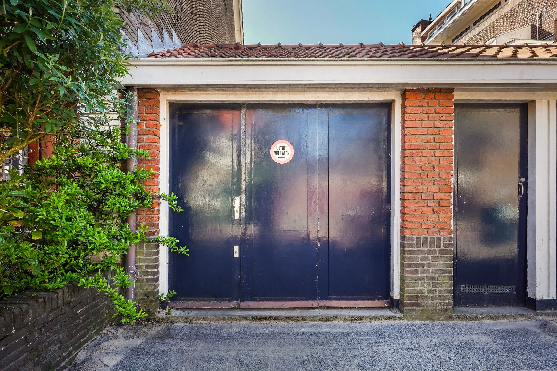 Photo 48 of Speenkruidstraat 42
