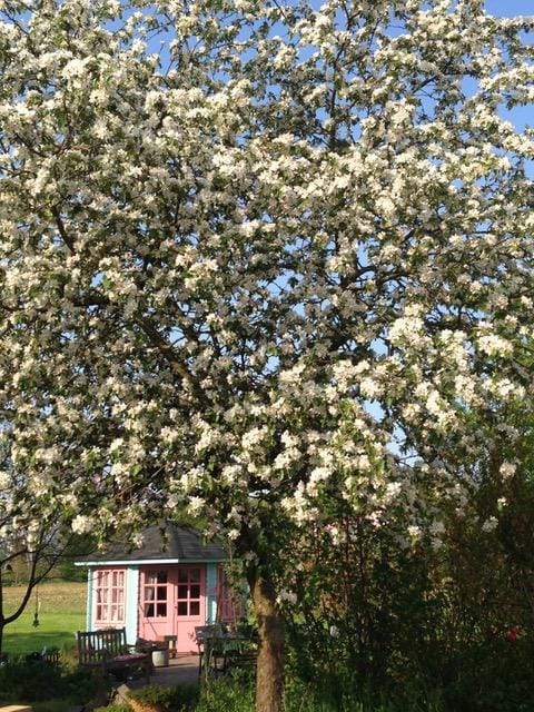 Foto 62 van Wittebrinkweg 1