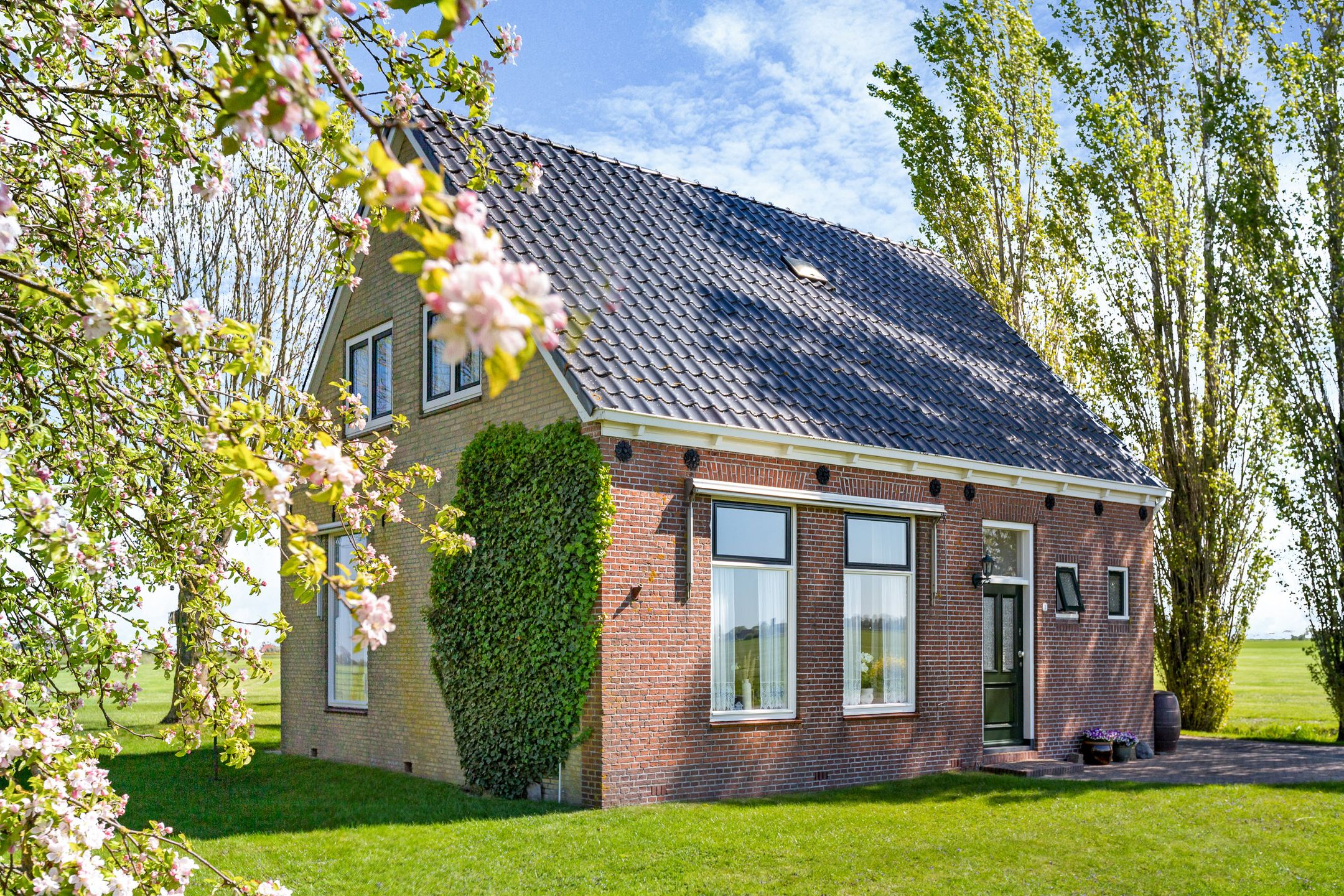 Foto 6 van Jongedyk 1