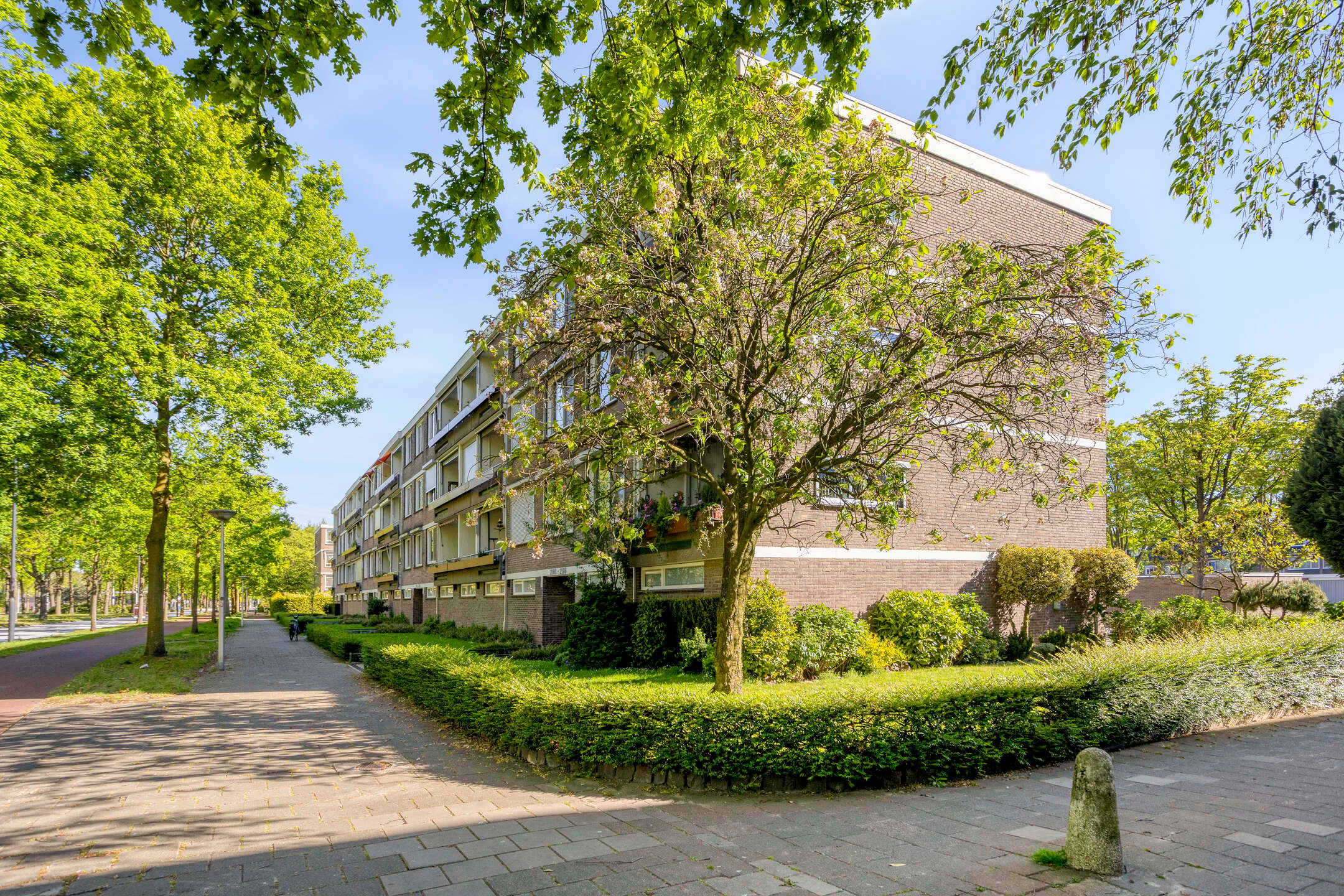 Photo 48 of Veldmaarschalk Montgomerylaan 332