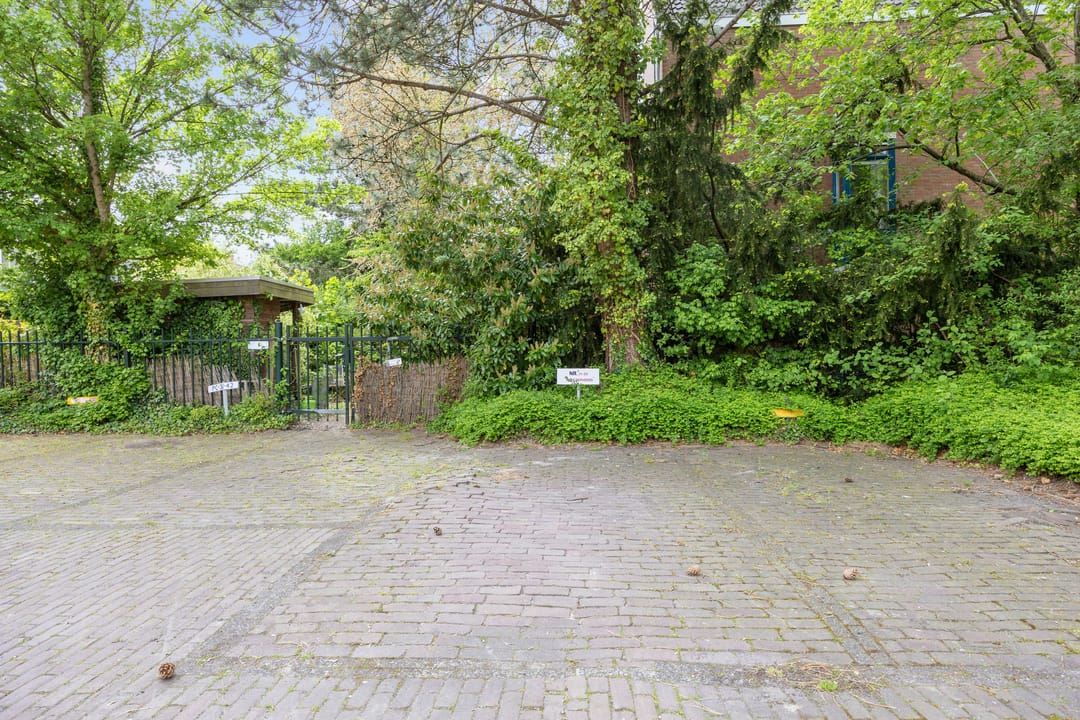 Photo 41 of Petrus Campersingel 31-20