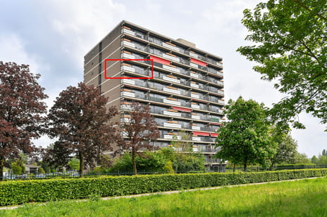Aalscholversingel thumbnail