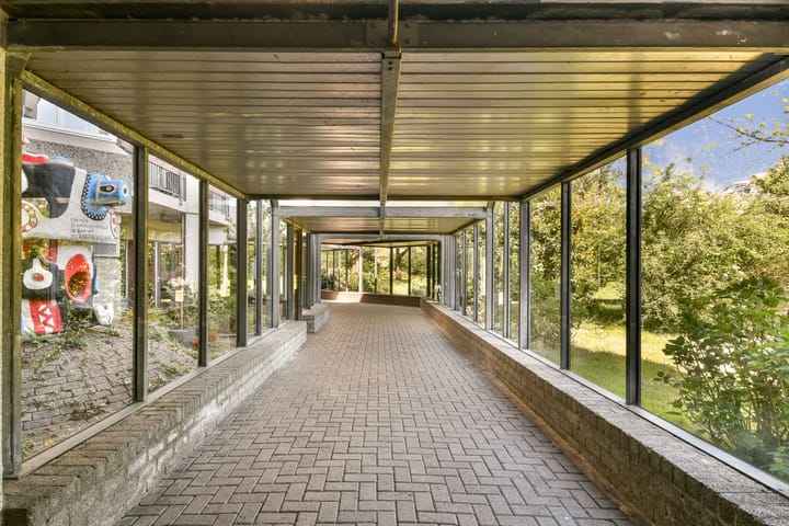 Foto 4 van Gouden Leeuw 442