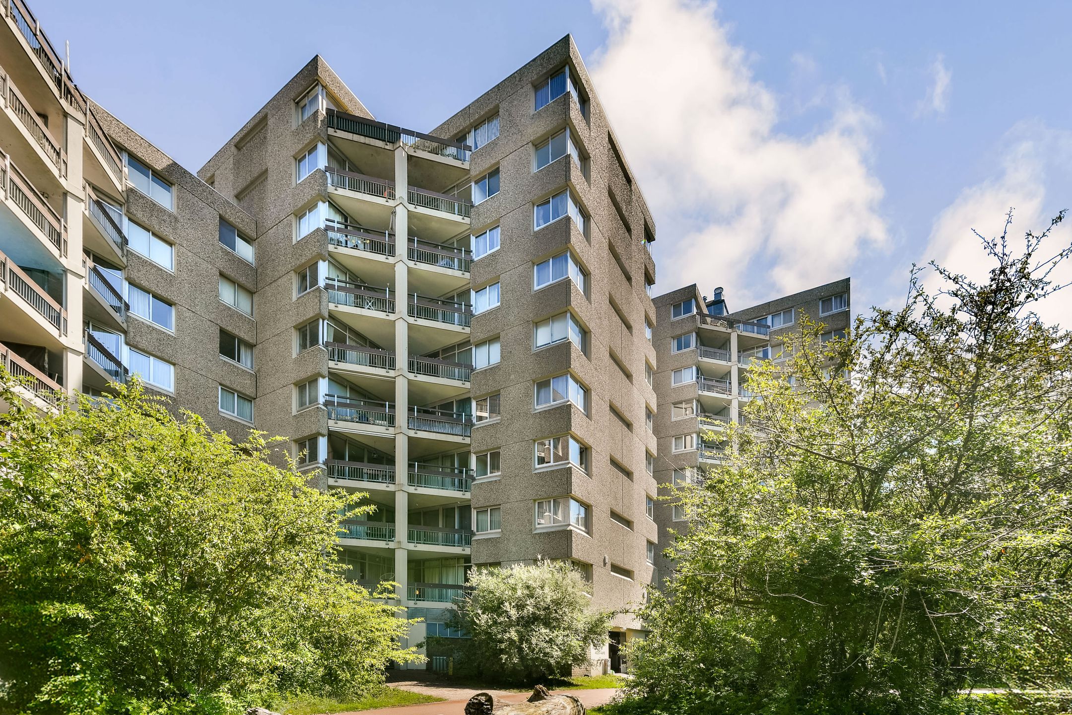 Gouden Leeuw 442 