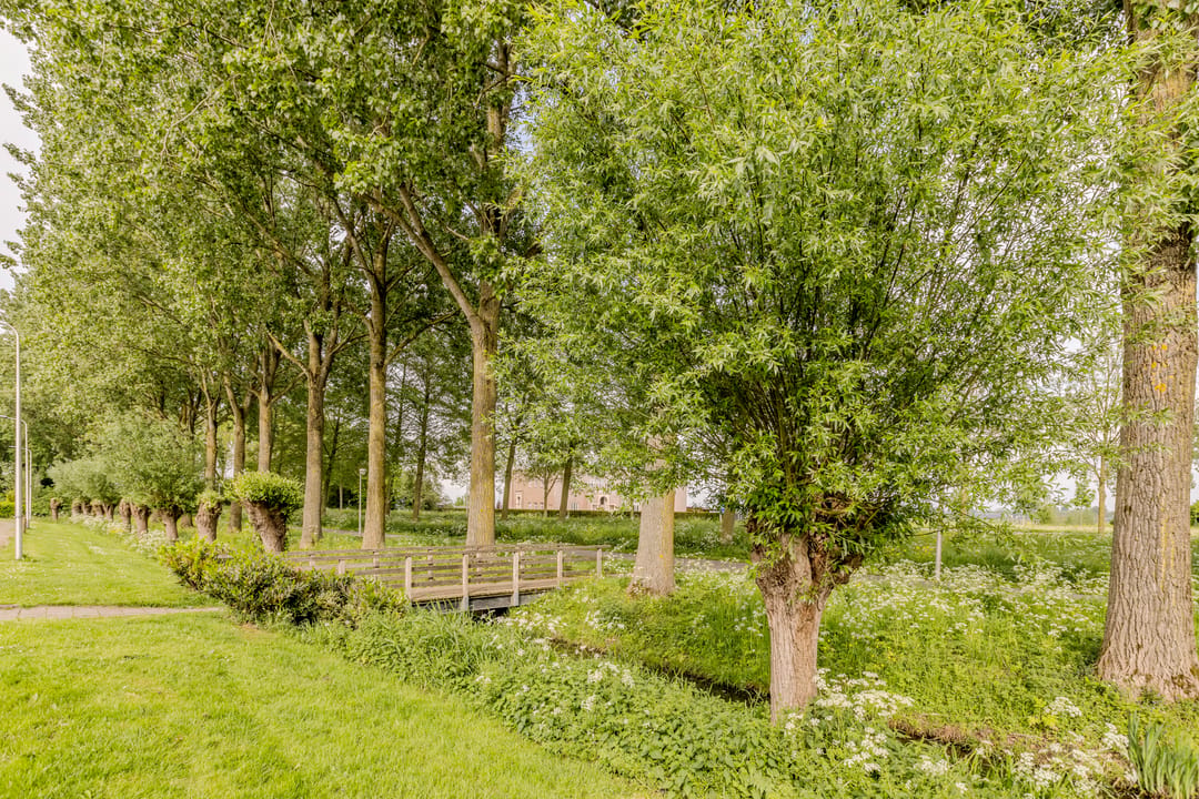 Photo 56 of Hofstede 24