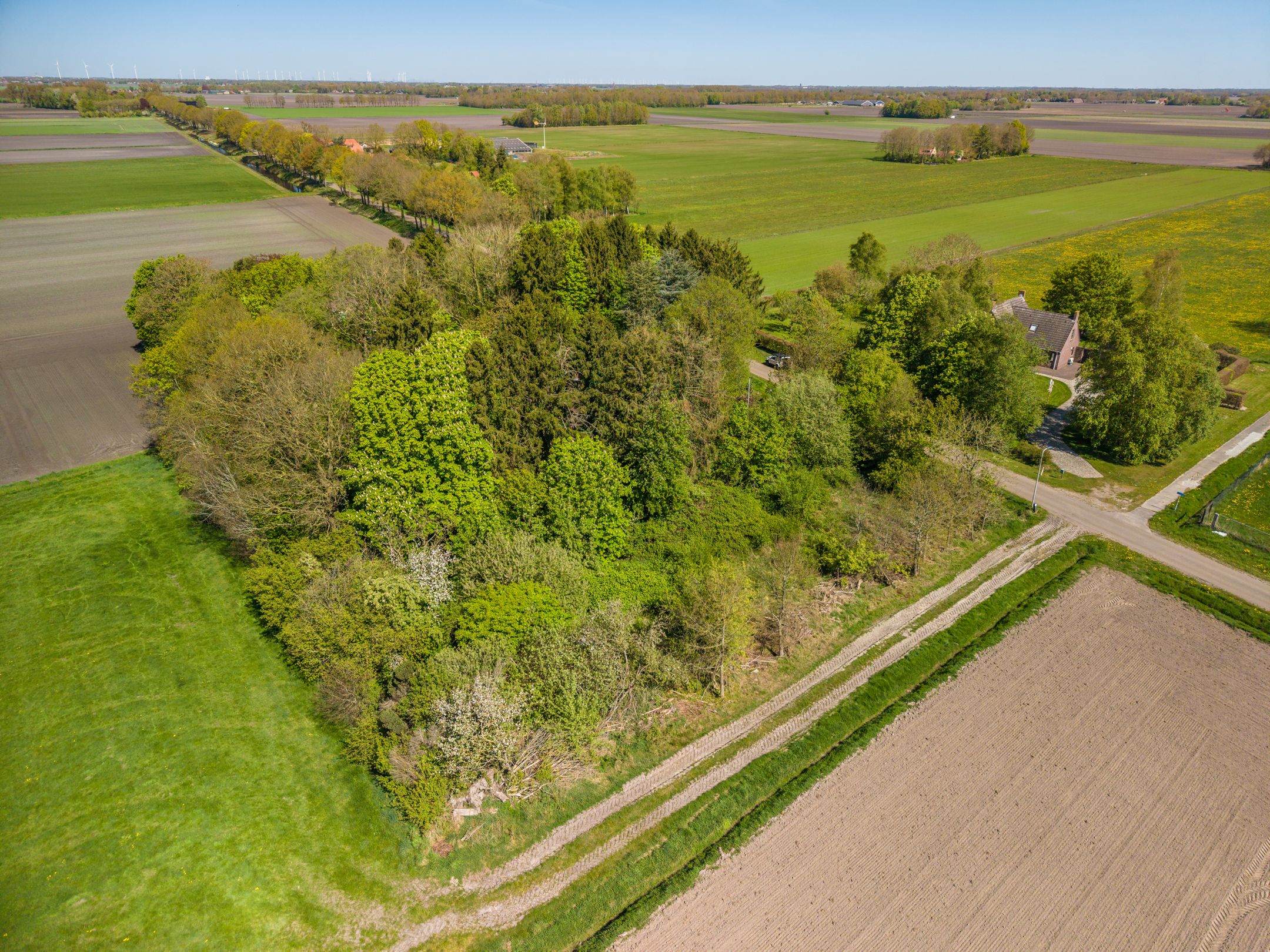 Photo 6 of Dwarsstukkerweg 13