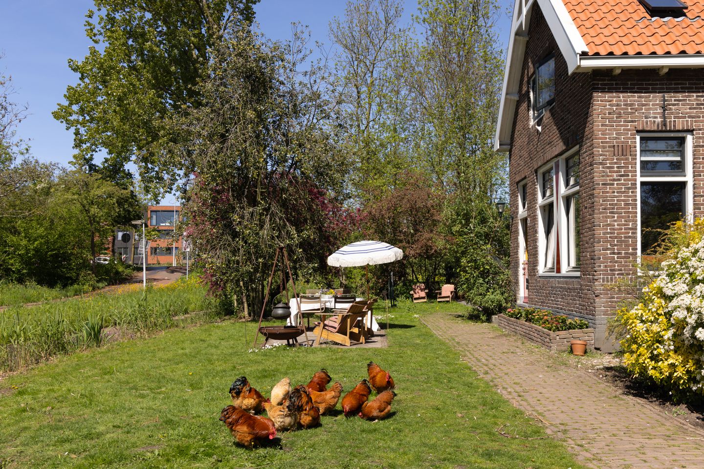 Photo 34 of Wijkergouw 36