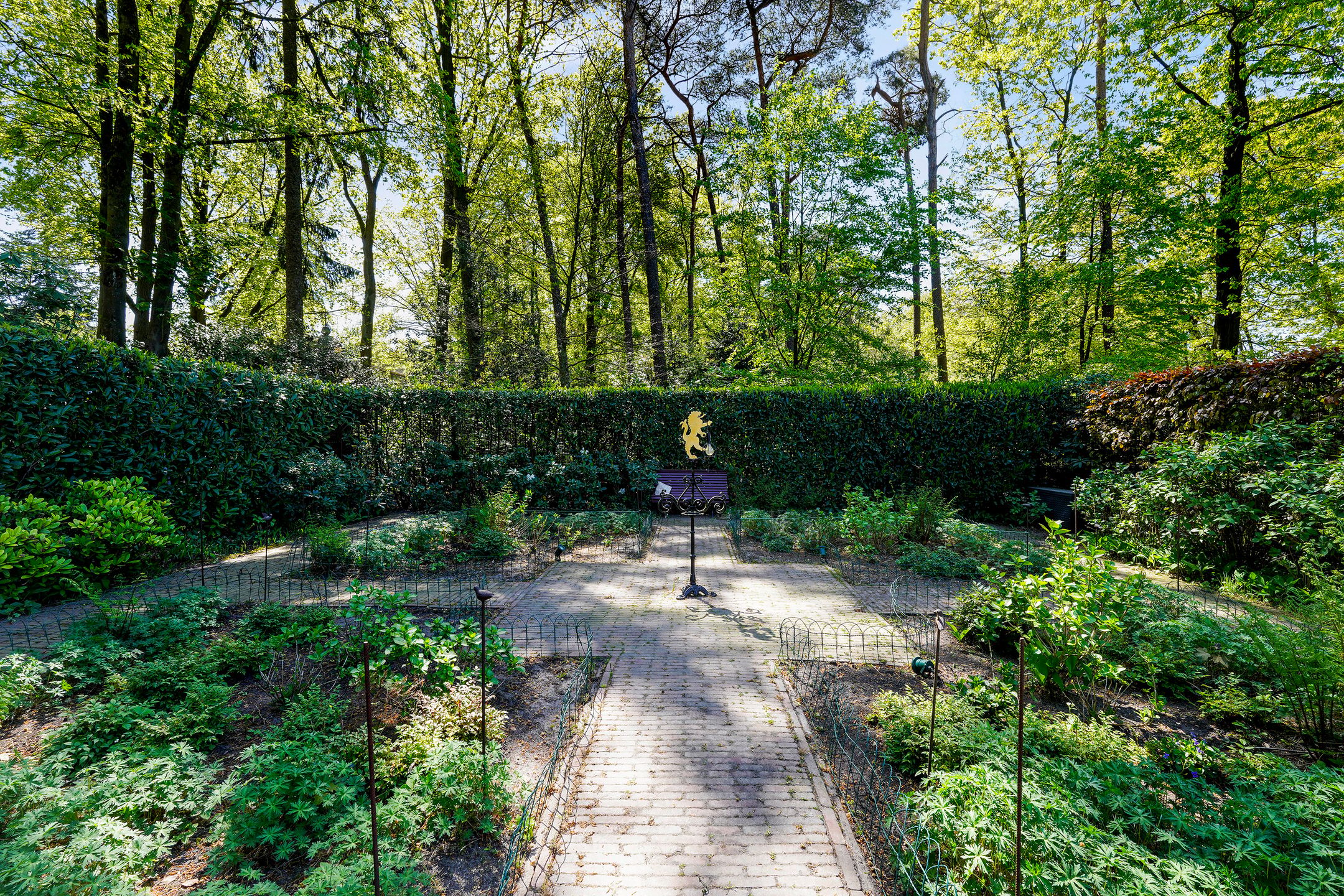 Photo 57 of Juristenlaan 25