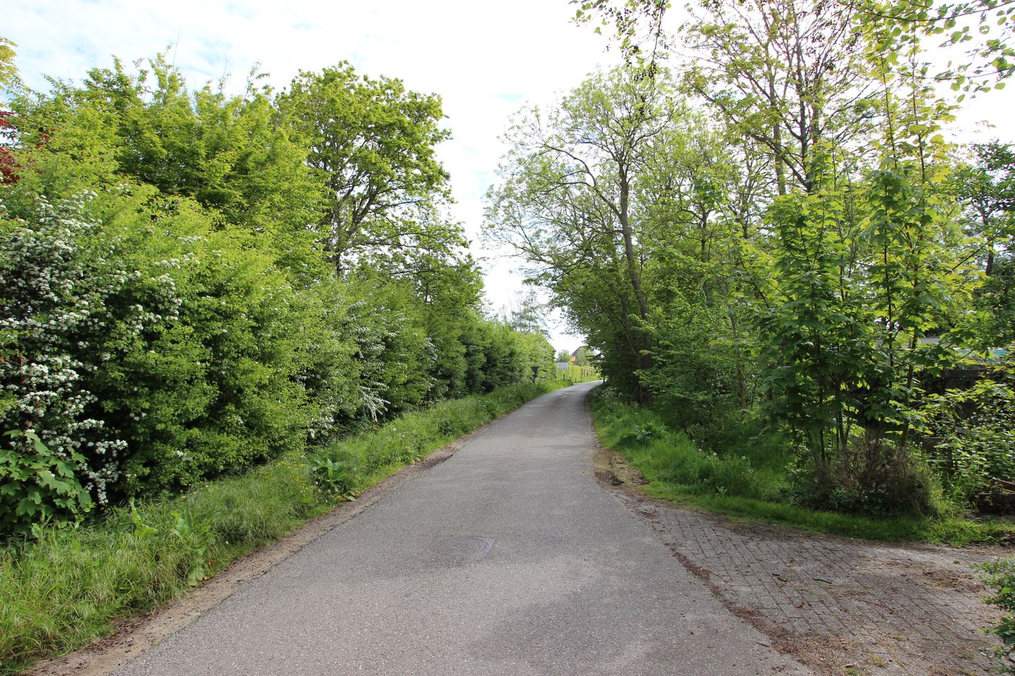Foto 25 van Driehuizerweg 2-Z2