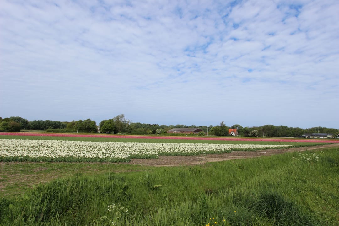 Foto 31 van Driehuizerweg 2-Z2