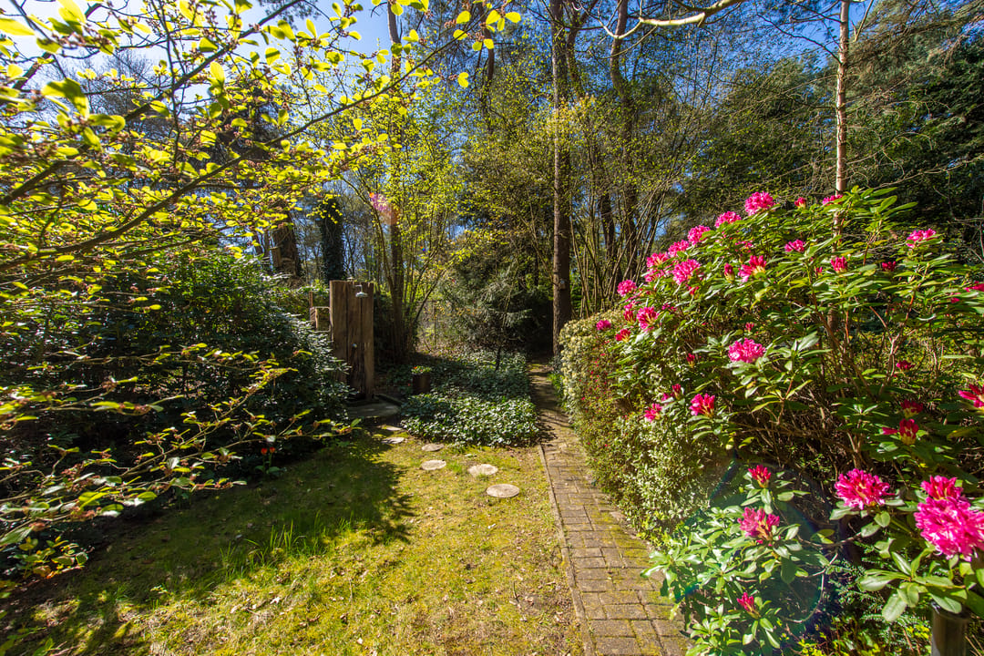 Photo 32 of Langendijk 8