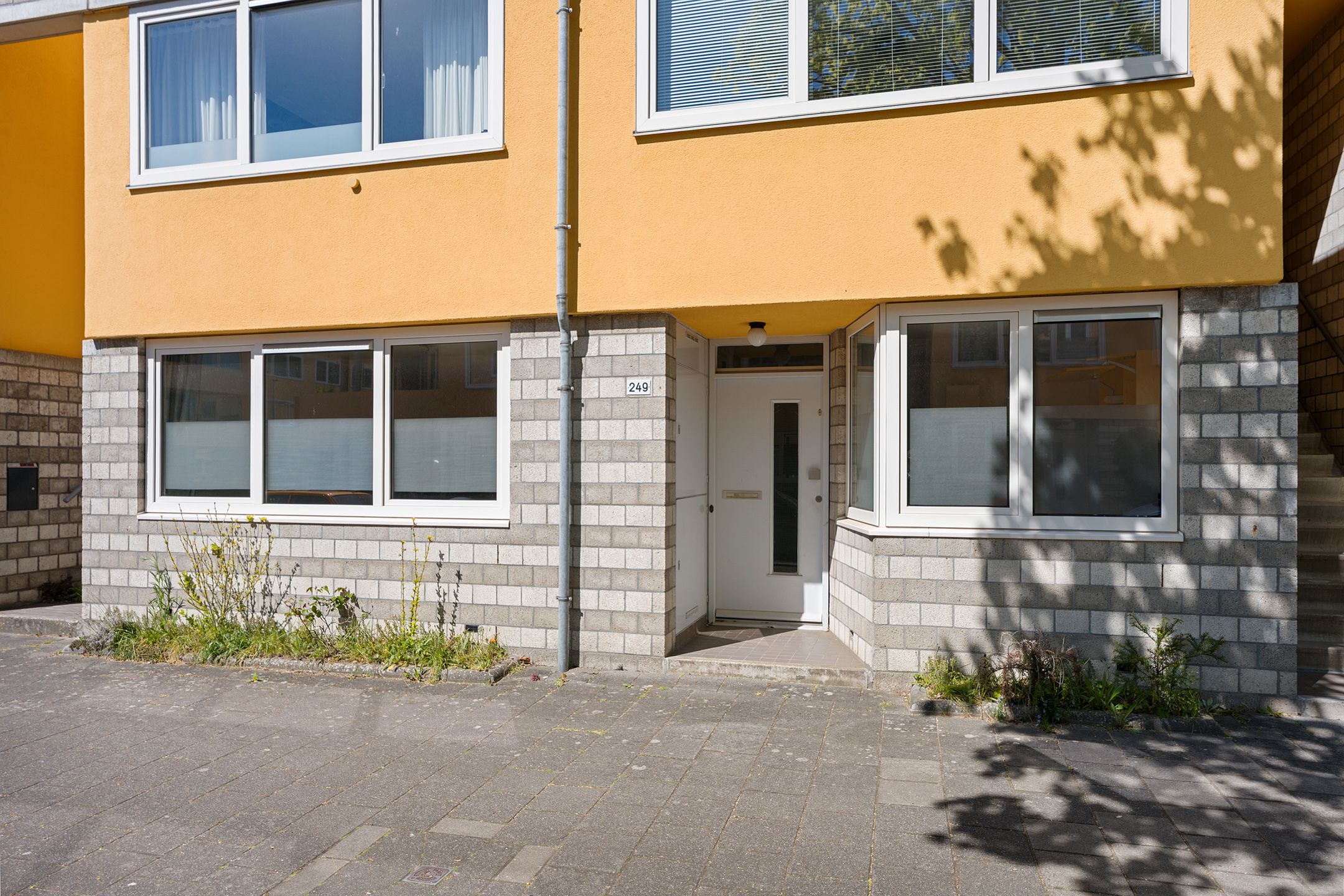 Photo 6 of Slachthuisstraat 249
