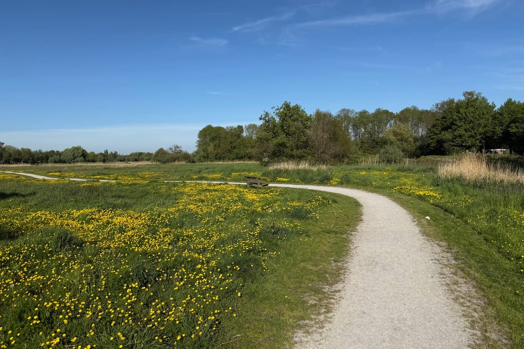 Foto 46 van Kalf 474