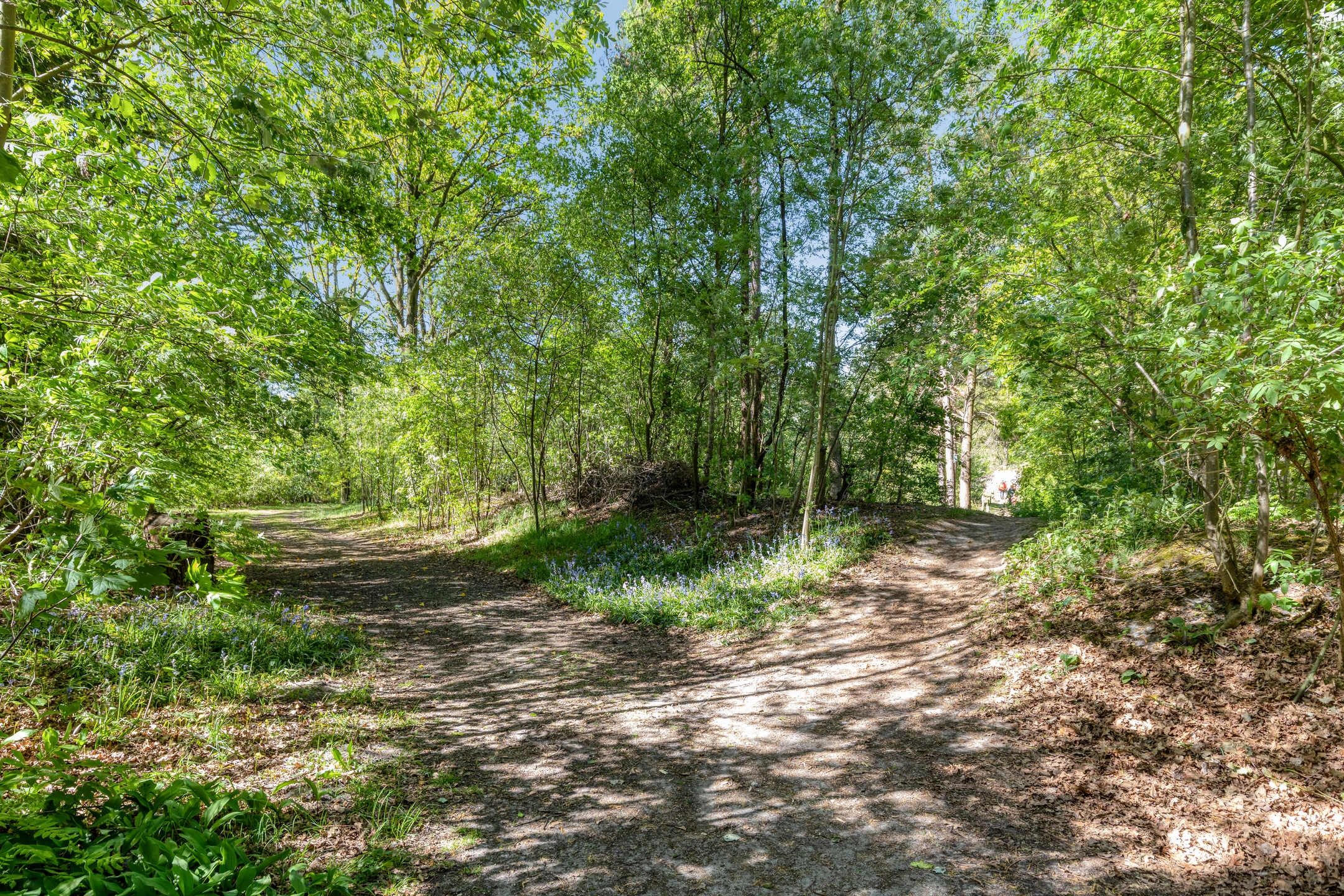 Photo 42 of Fazantenlaan 15