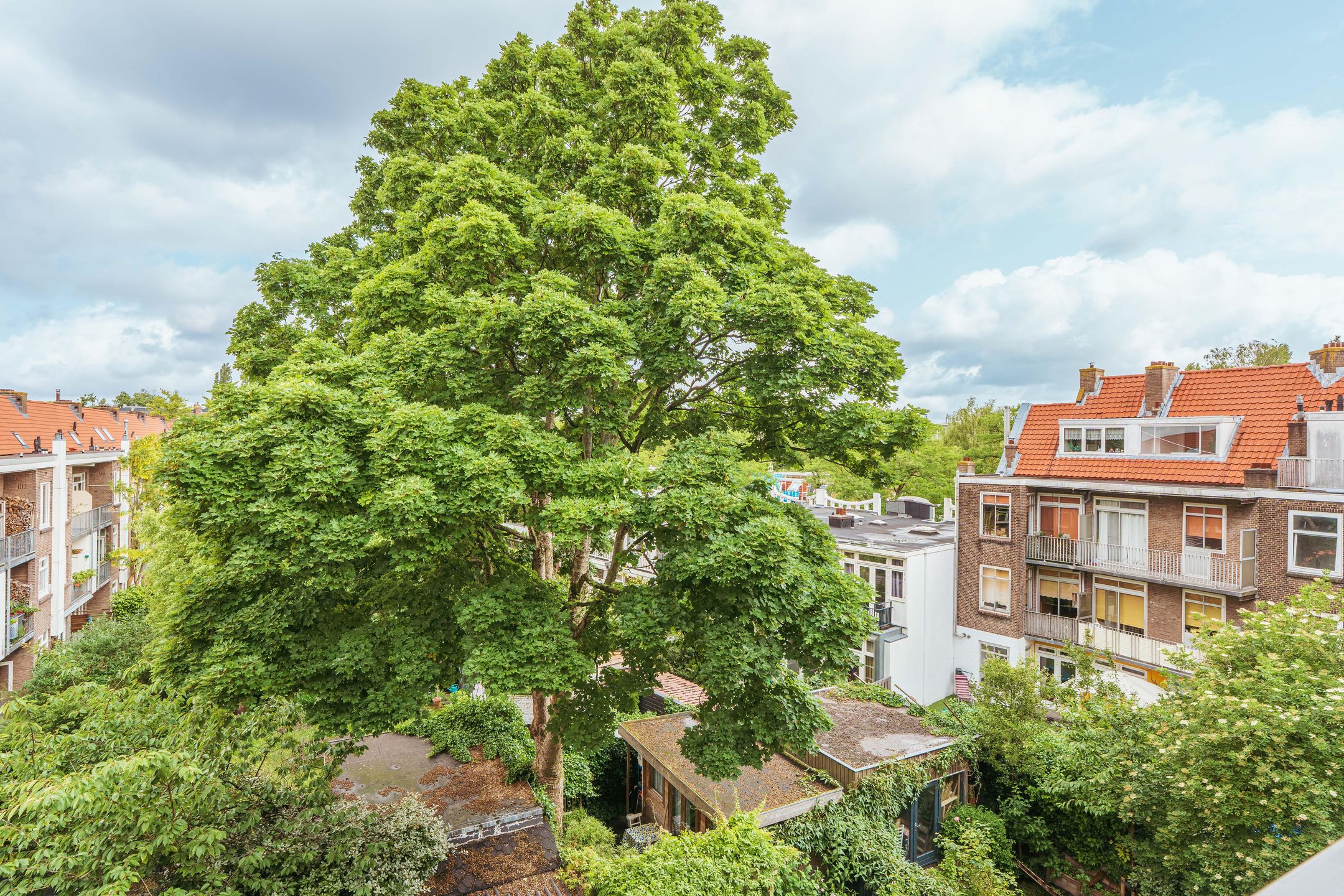 Foto 12 van Copernicusstraat 65-D