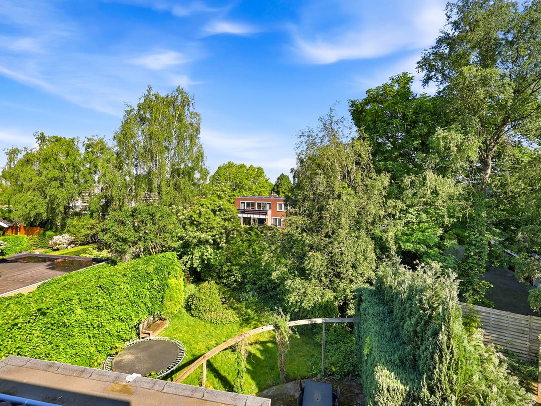 Photo 43 of Van Lidth de Jeudelaan 17