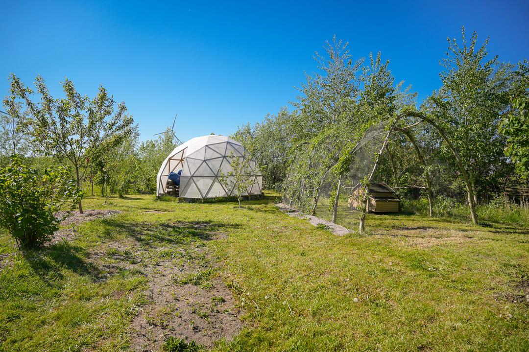 Foto 31 van Oeverwalweg 51