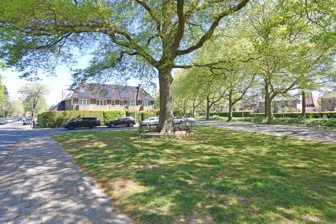 Photo 47 of Dr. J.P. Thijsselaan 11