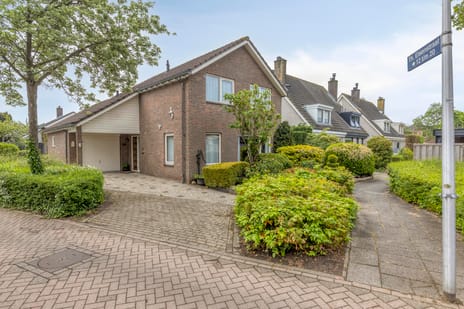 Th Elsenstraat thumbnail