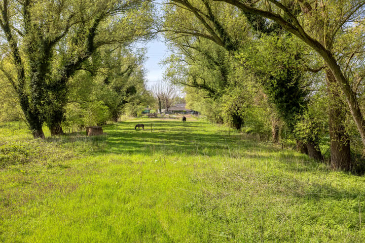 Foto 3 van Bokt 2