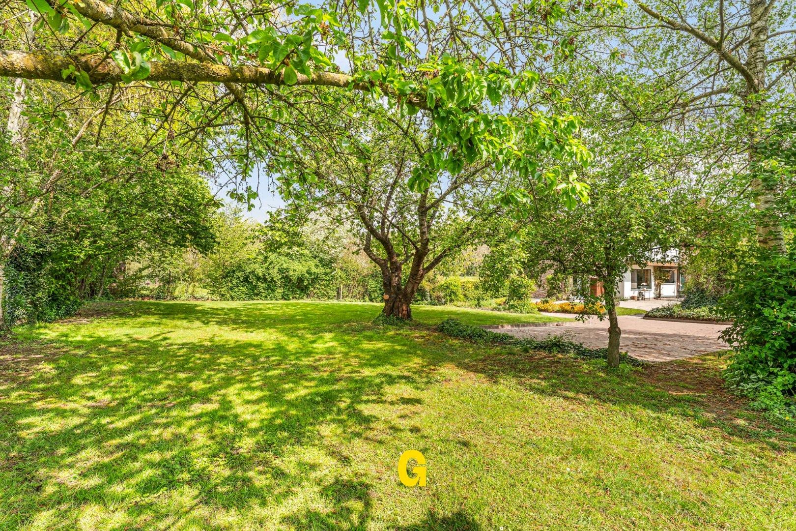 Beautifully Rebuilt Character Villa on Expansive 5,000m² Plot with Protected Rural Views — 63