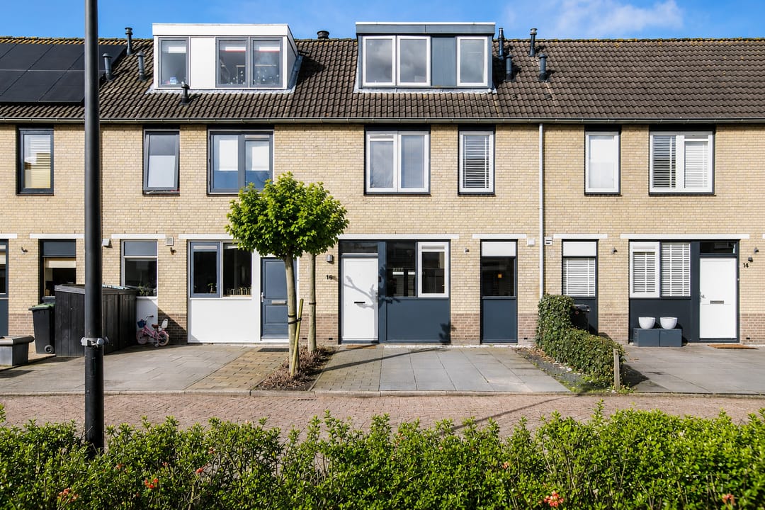 Foto 1 van Blauwe Zegge 16
