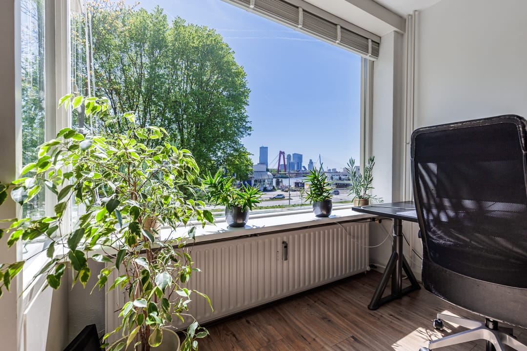Foto 7 van 's-Lands werf 260