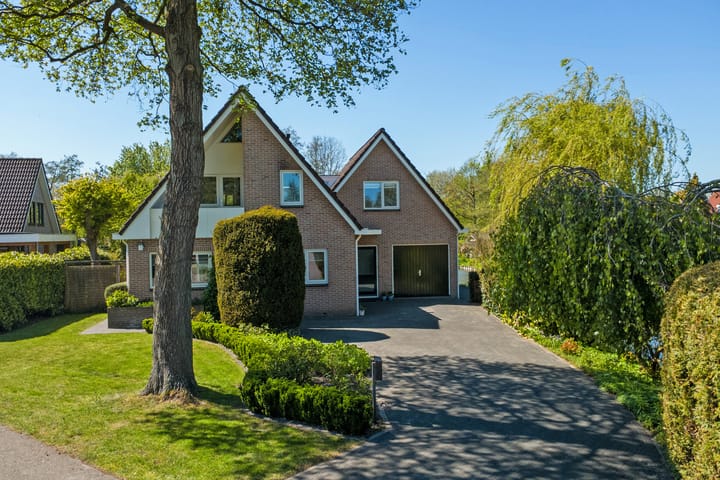 Foto 4 van Wulp 4