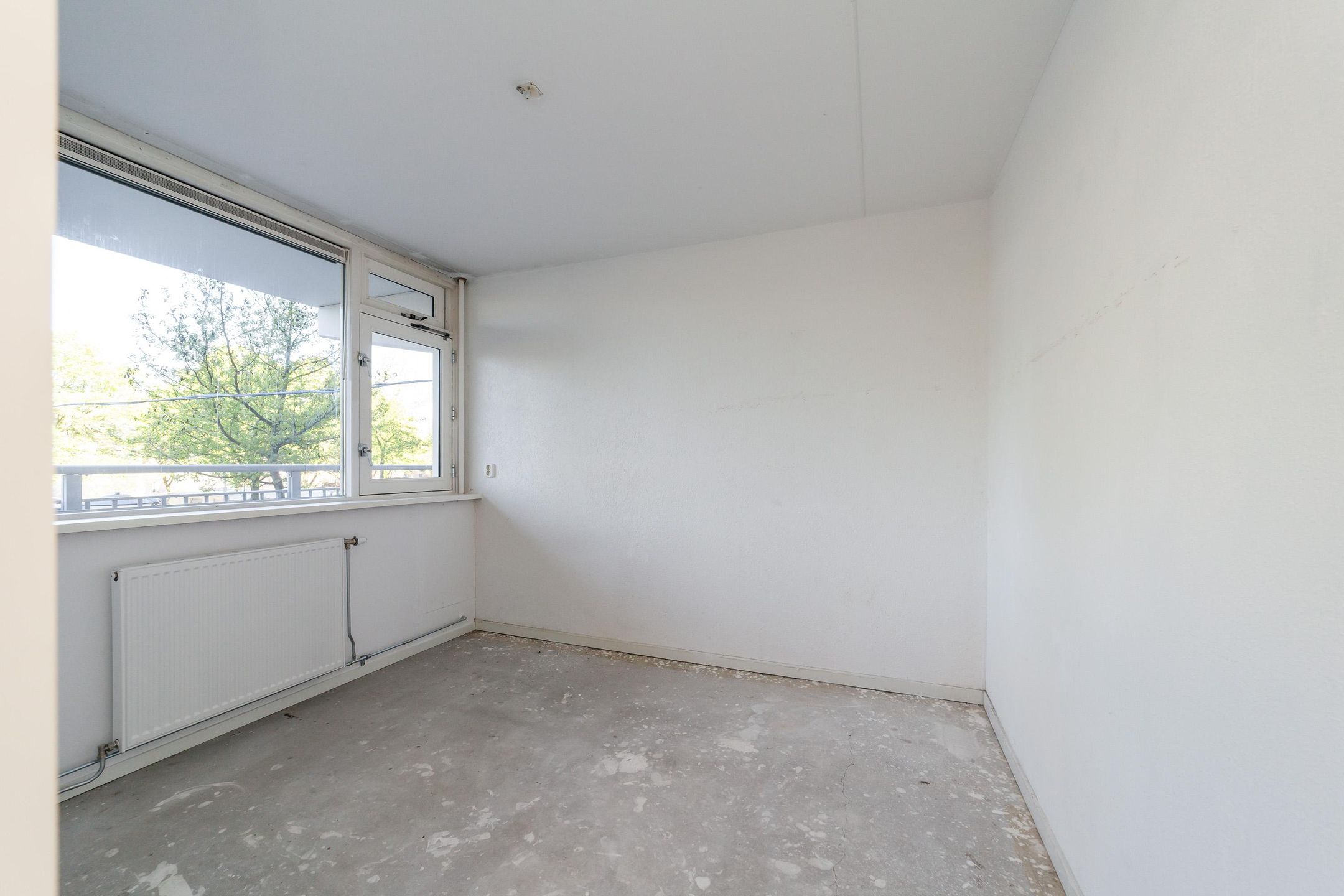 Photo 21 of Condorhorst 14