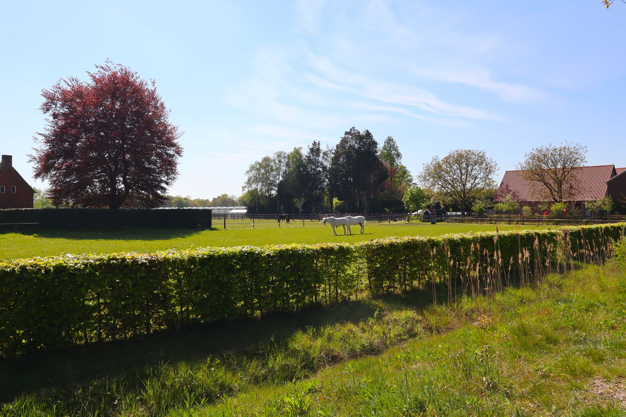 Foto 48 van Rijksweg 18