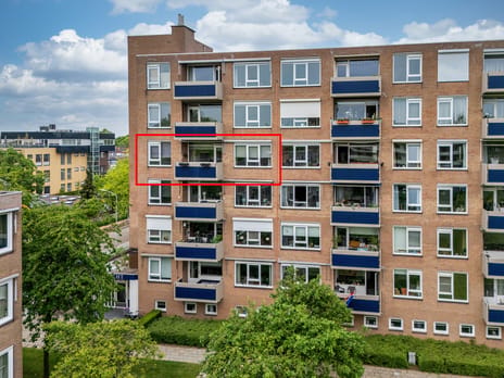 Albert Cuypstraat thumbnail