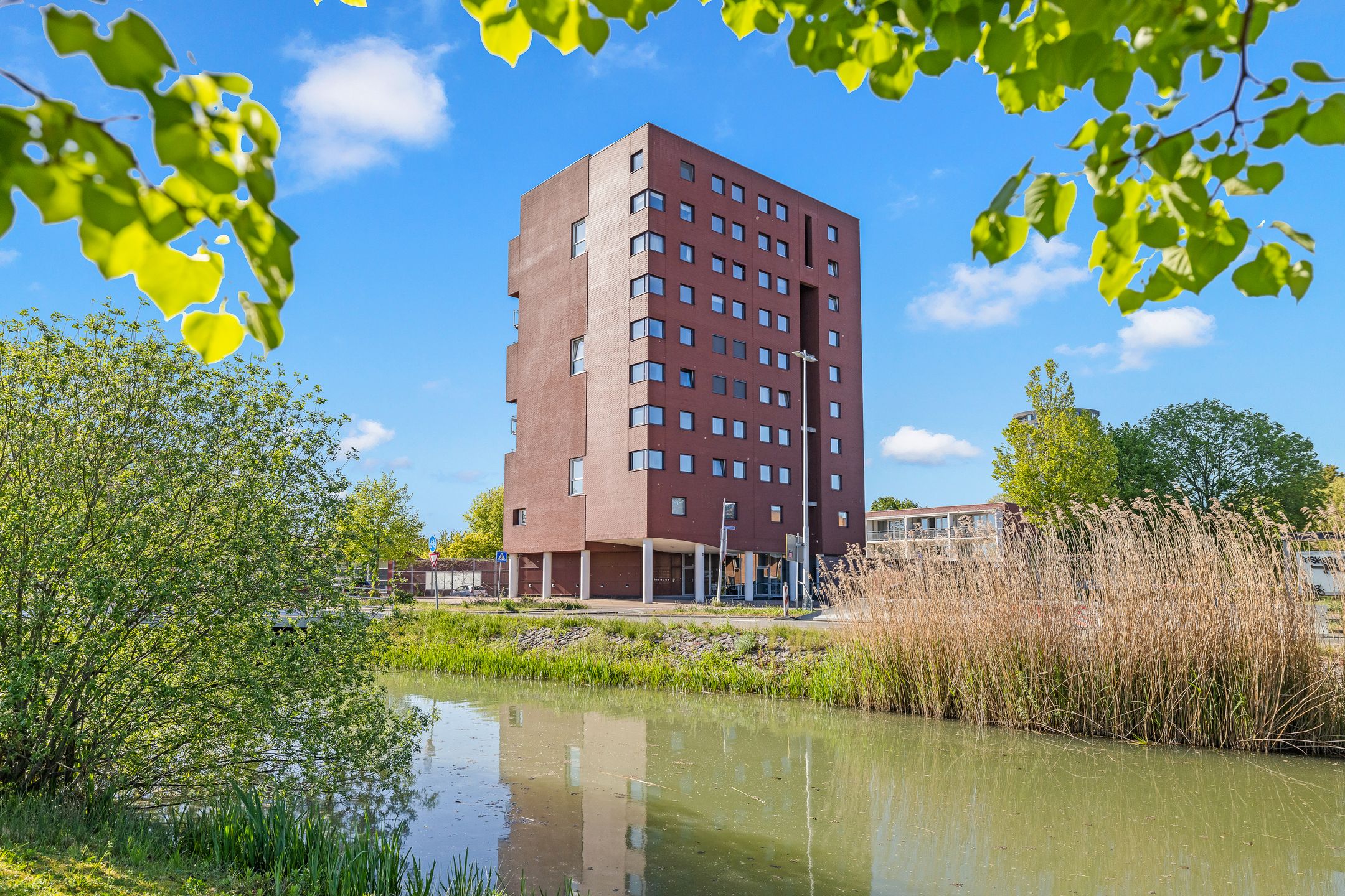 Foto 48 van Zijlsterraklaan 23