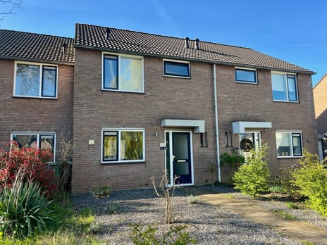 Gerstekamp thumbnail