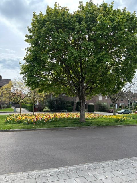 Photo 36 of Wachtendonckstraat 25