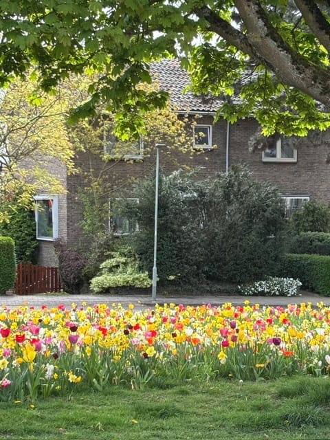 Photo 35 of Wachtendonckstraat 25