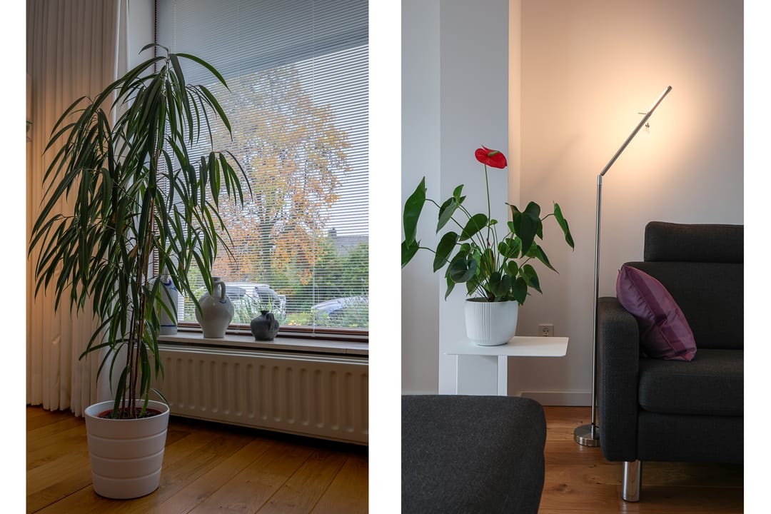 Photo 7 of Wachtendonckstraat 25