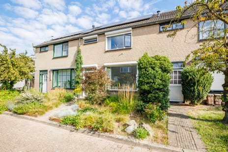 Prins Pieterstraat thumbnail
