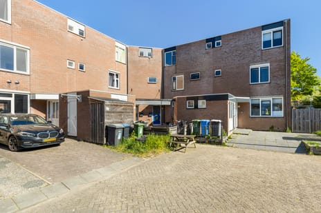 Madeliefweide thumbnail