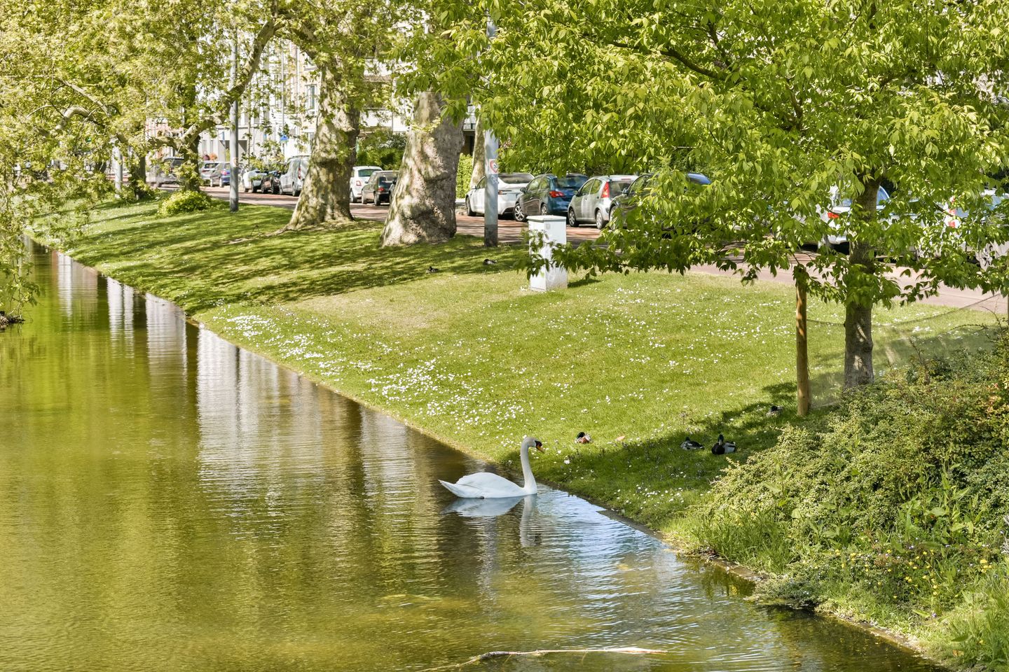 Photo 25 of Noordsingel 157-B