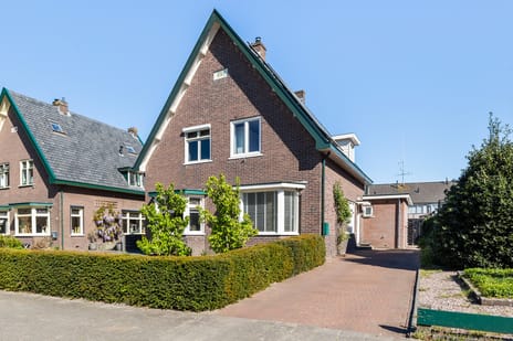 Hoornbloem thumbnail