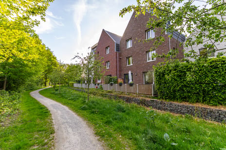 Grote Beerstraat thumbnail