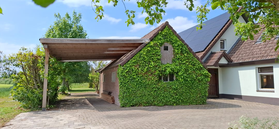 Photo 7 of Nieuwe Krim 37