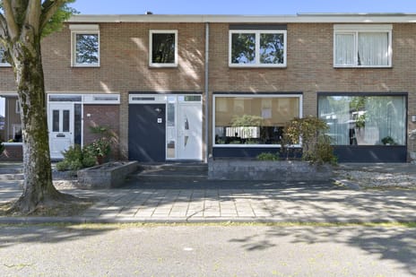 Boerhaavestraat thumbnail