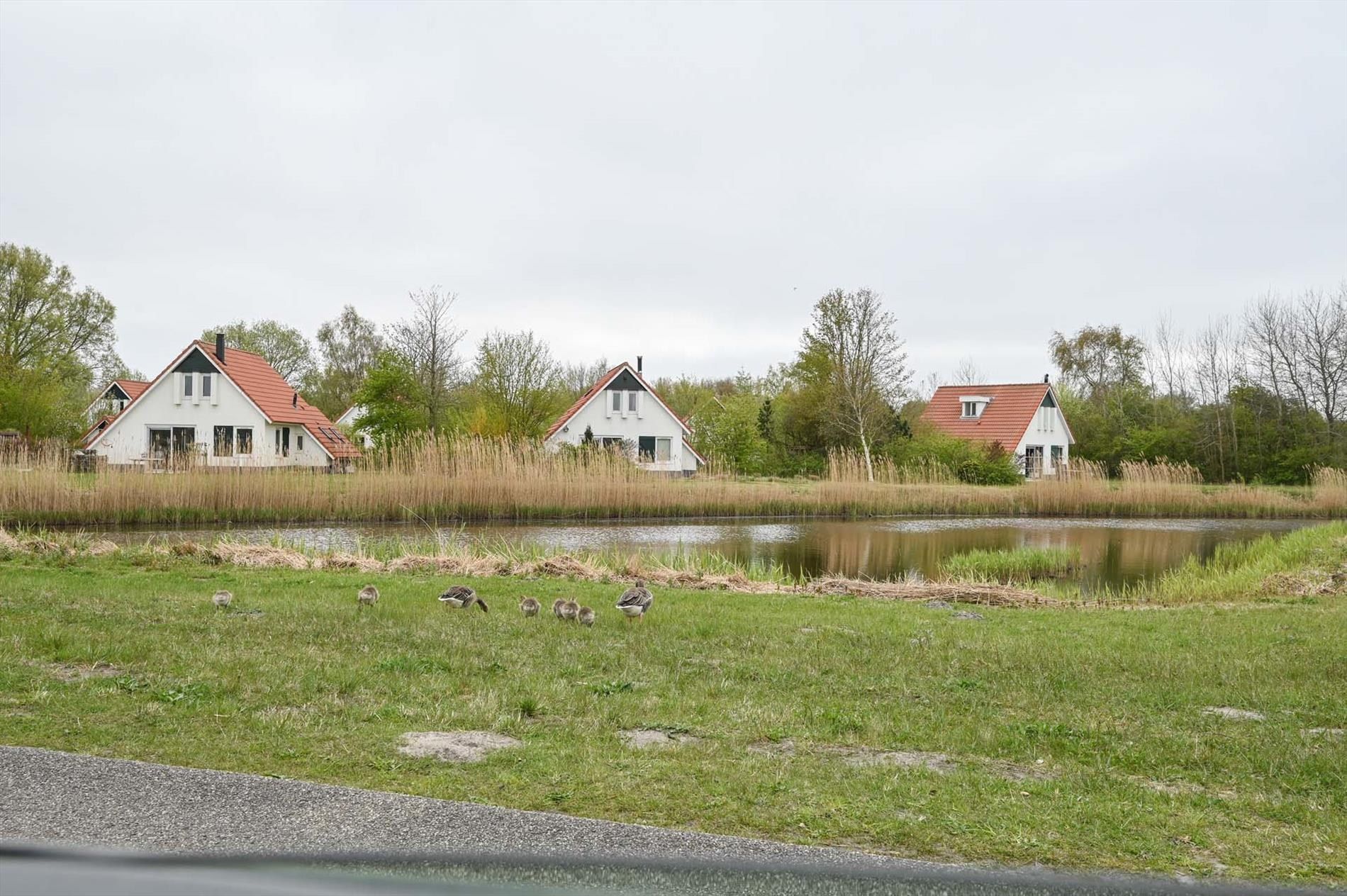 Photo 36 of De Rug 3-283