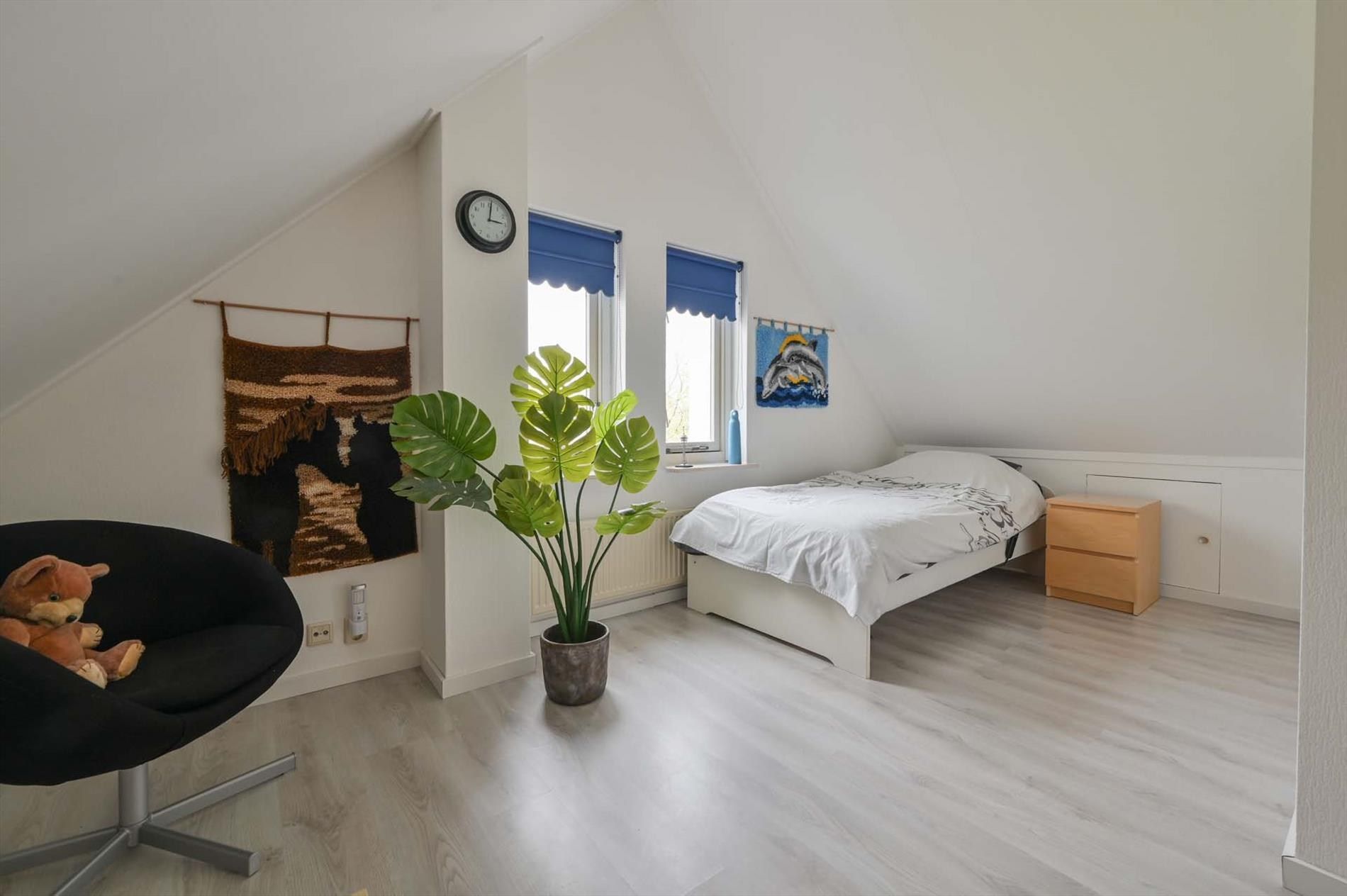 Photo 18 of De Rug 3-283