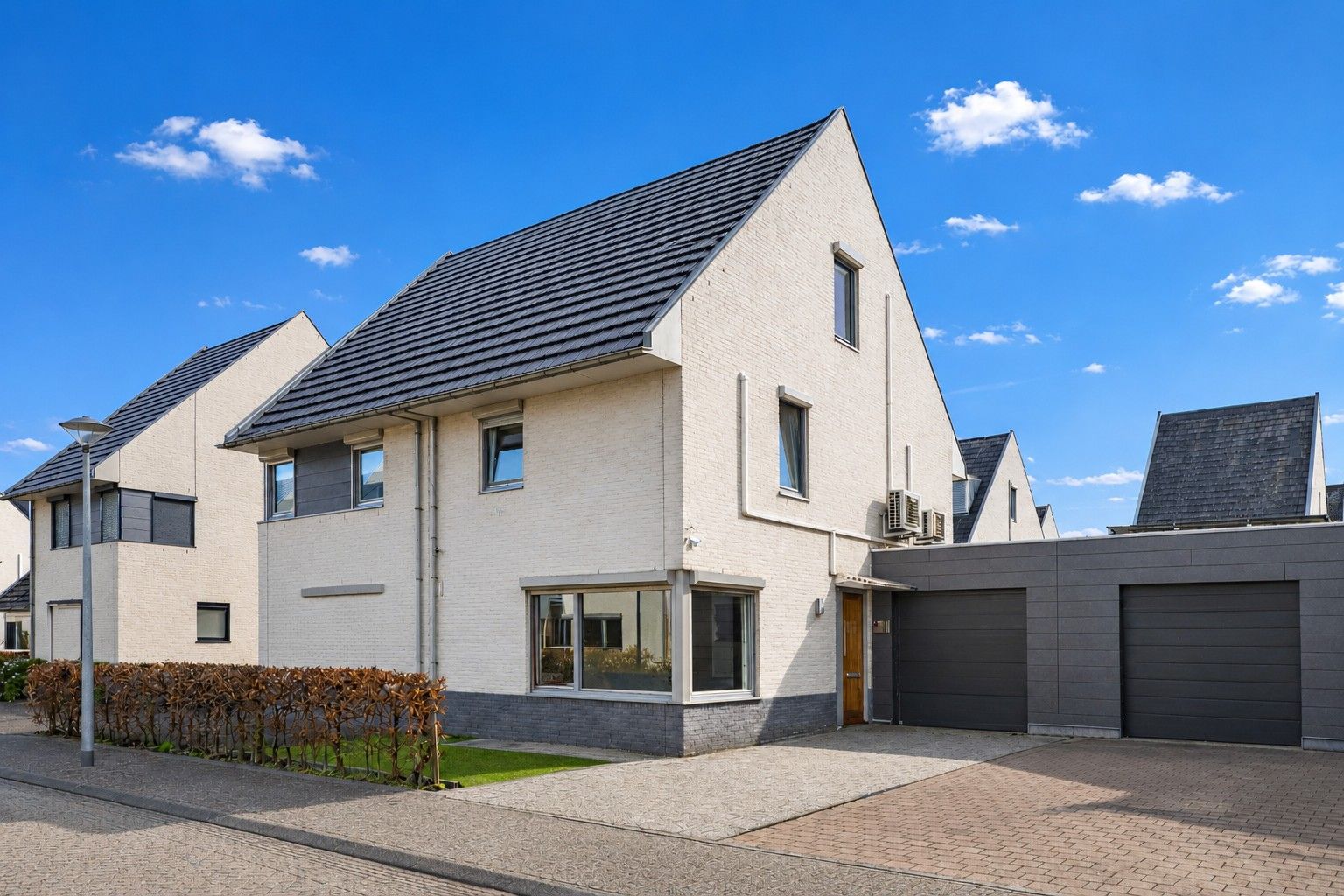 Krulbolruwe 4 