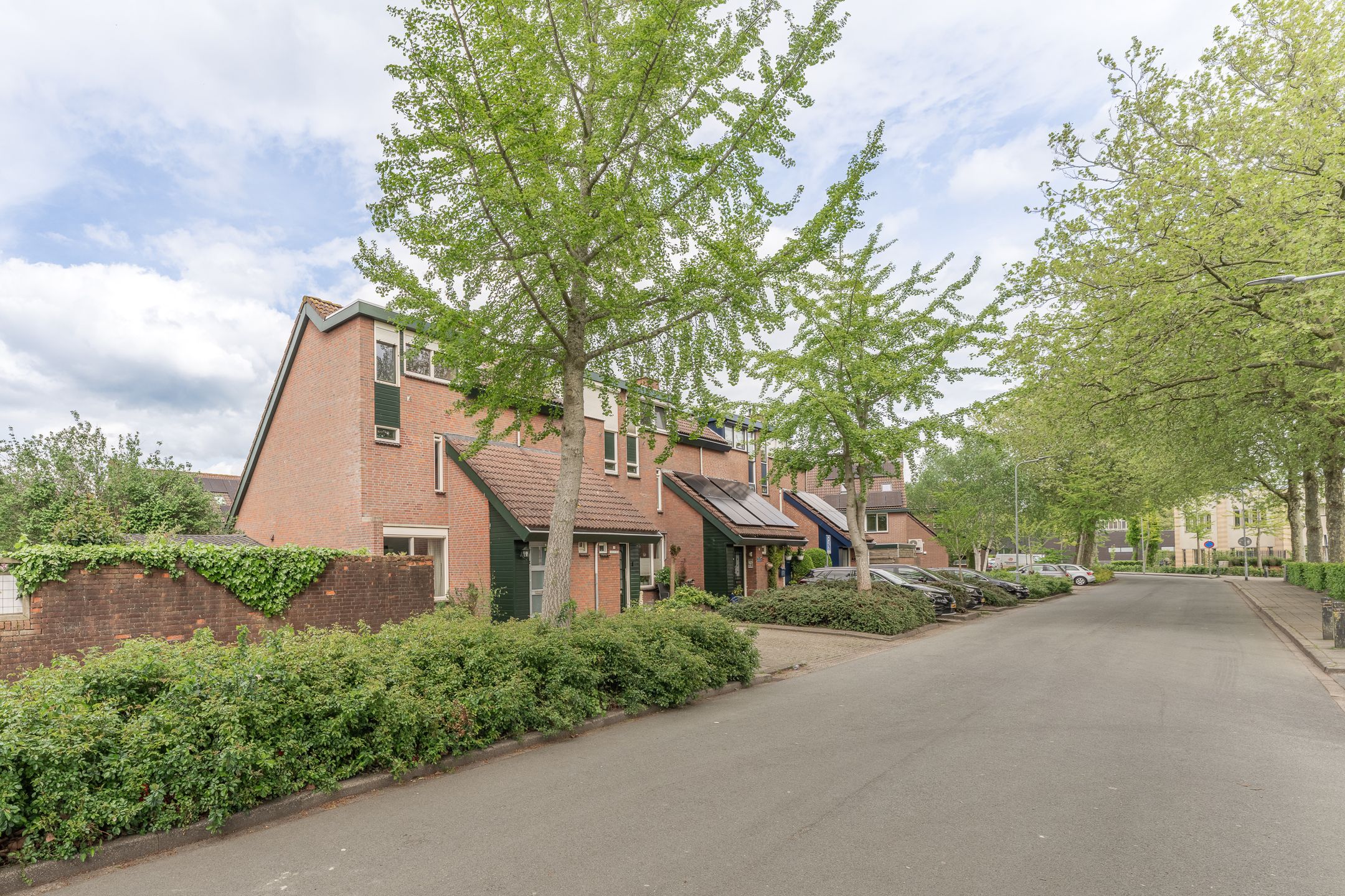 Foto 42 van Rode Paard 32