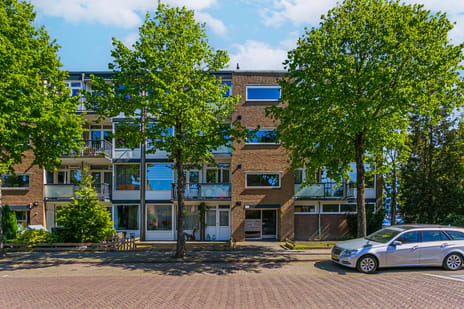 Troelstrastraat thumbnail