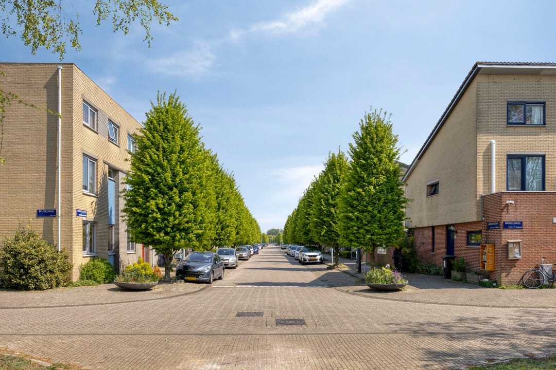 Foto 47 van Grimbergenstraat 26